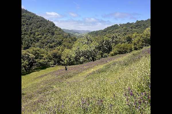 Templeton, California, United States