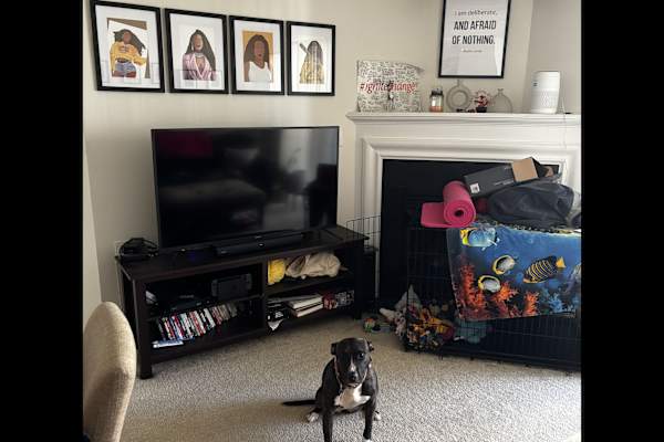 Arlington, Virginia, United States