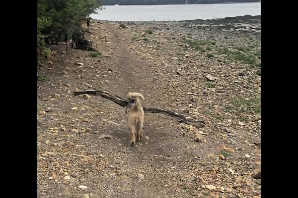 Narberth, Wales, United Kingdom