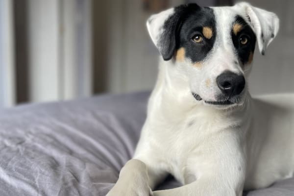 Carbondale, Colorado, United States