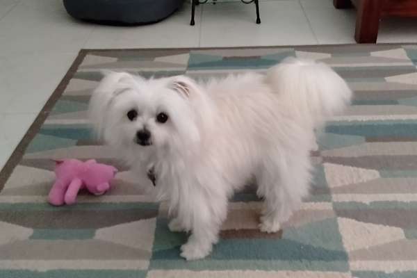 Tweed Heads, New South Wales, Australia