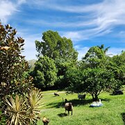 Jimboomba, Queensland, Australia