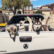 Ashwood, Victoria, Australia