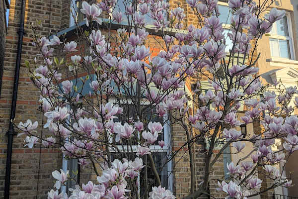 London, England, United Kingdom