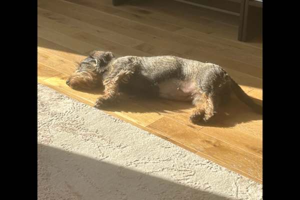 Paris, Ile-de-France, France