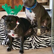 Giralang, Australian Capital Territory, Australia