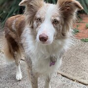 Shellharbour, New South Wales, Australia