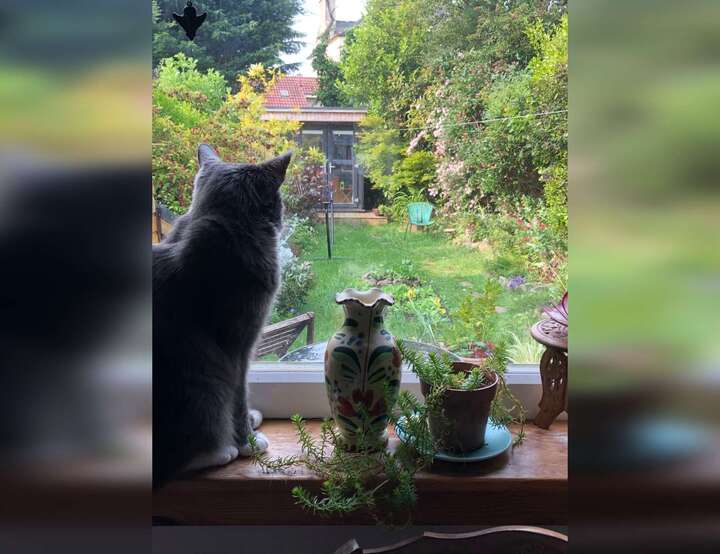 Prestonfield, Scotland, United Kingdom