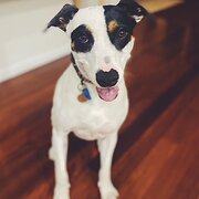 Paddington, Queensland, Australia