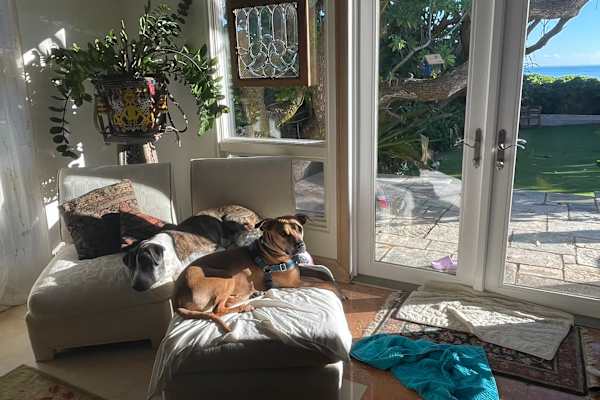 Kailua, Hawaii, United States