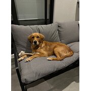 Ripley, Queensland, Australia