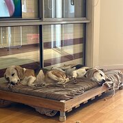 Point Turton, South Australia, Australia