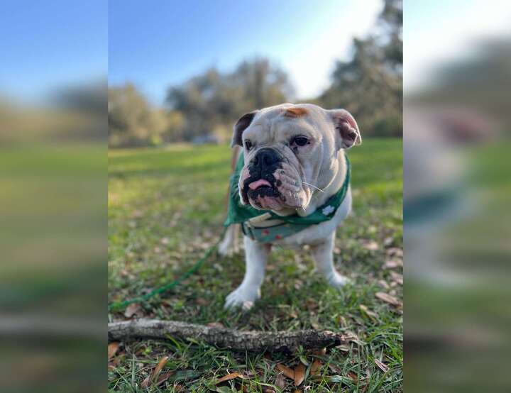 St. Petersburg, Florida, United States