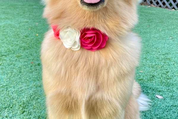 Lisbon, Lisbon, Portugal