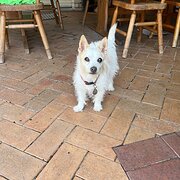 Ashtonfield, New South Wales, Australia