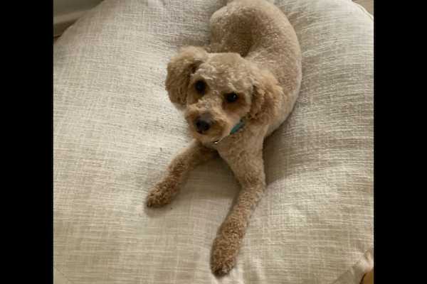 Perth, Western Australia, Australia