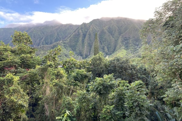 Kaneohe, Hawaii, United States