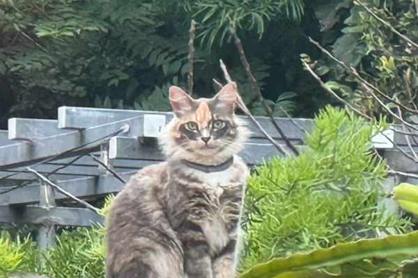 Los Angeles, California, United States