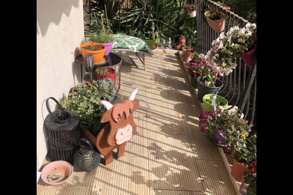 Gibraltar, Gibraltar