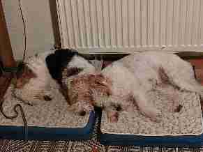 SEGALAS, Bourg, SEGALAS, Lot et Garonne, Lot et Garonne France