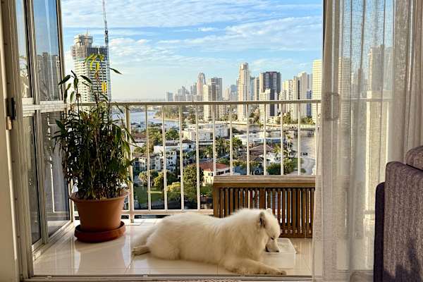 Gold Coast, Queensland, Australia
