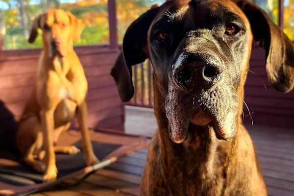 Westminster, Maryland, United States