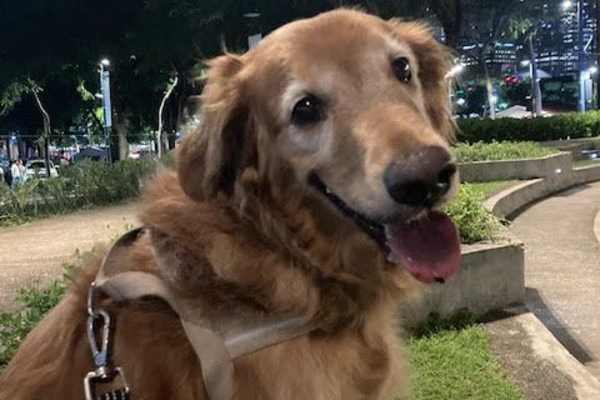 Fort Bonifacio, Metro Manila, Philippines