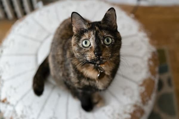 Jersey City, New Jersey, United States