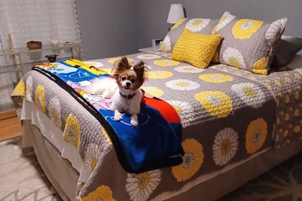 Youngstown, Ohio, United States