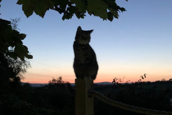 Totnes, England, United Kingdom