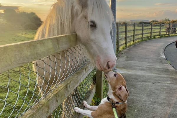 Chester, England, United Kingdom