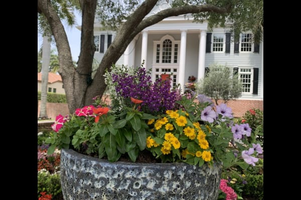 Sarasota, Florida, United States