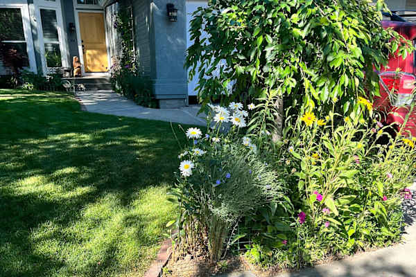 Boise, Idaho, United States