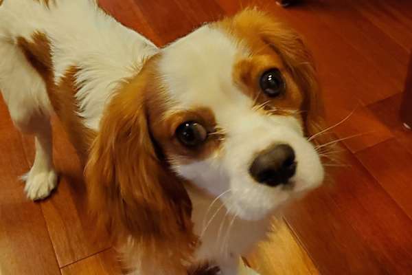 Port Townsend, Washington, United States