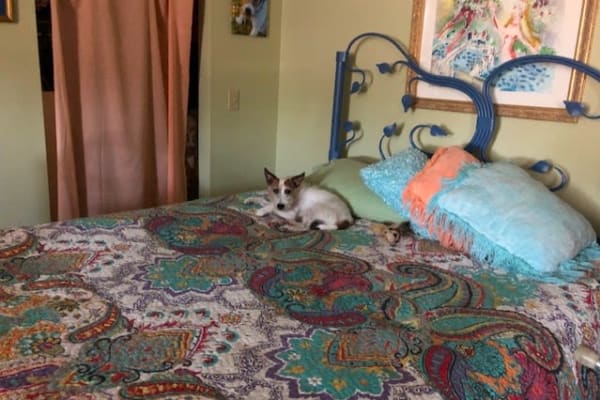 Pahrump, Nevada, United States