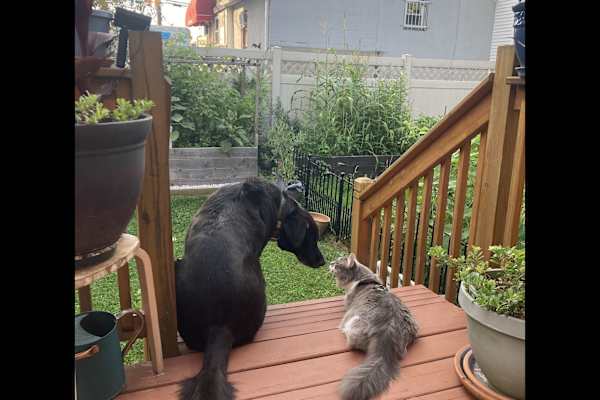 Englewood, New Jersey, United States