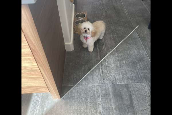 Kansas City, Missouri, United States