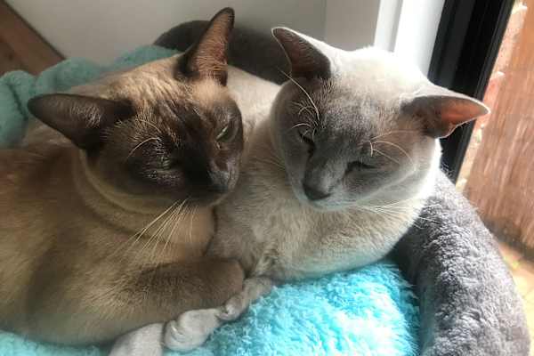 Sydney, New South Wales, Australia