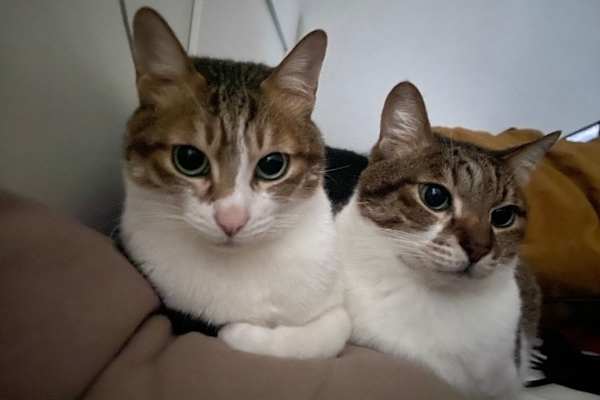 Berlin, Berlin, Germany