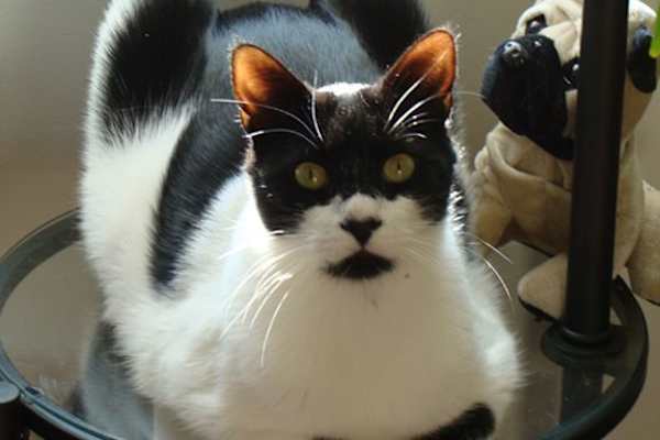 Guilford, Connecticut, United States