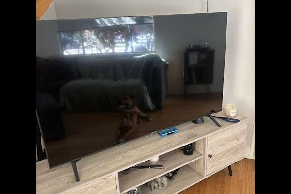 Alameda, California, United States