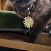 Ascot Vale, Victoria, Australia