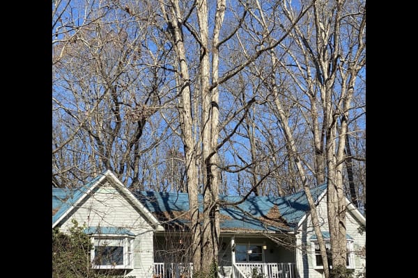 Lincolnton, North Carolina, United States