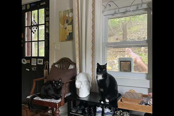 Portland, Maine, United States