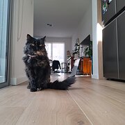 Bowden, South Australia, Australia