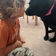 Clinton, Queensland, Australia