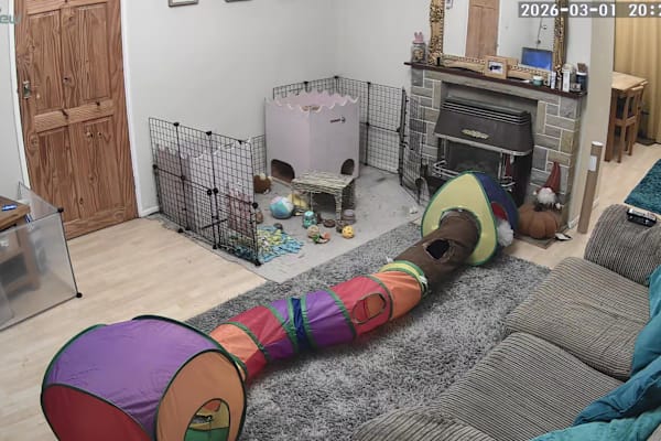 Macclesfield, England, United Kingdom