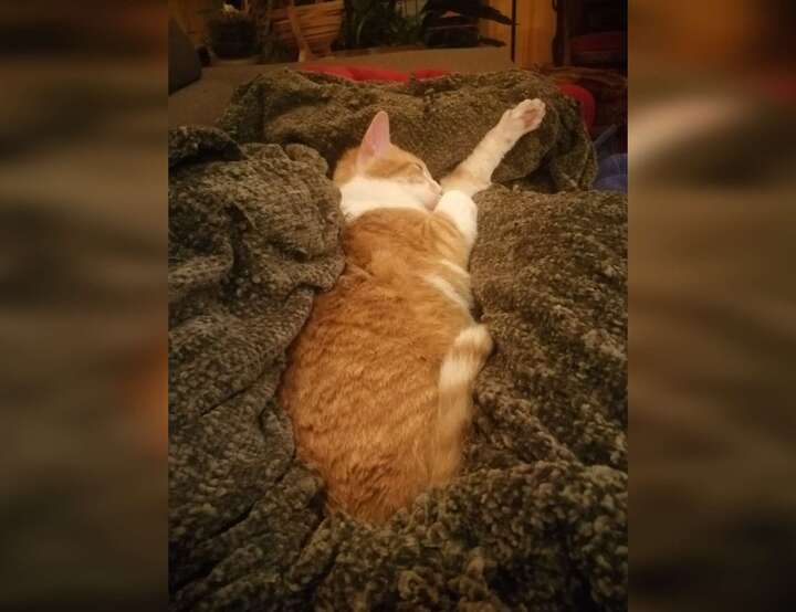 Rossini, Piedmont, Italy