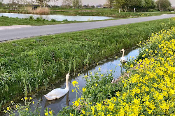 Utrecht, Utrecht, Netherlands