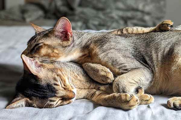 Singapore, Central Singapore, Singapore